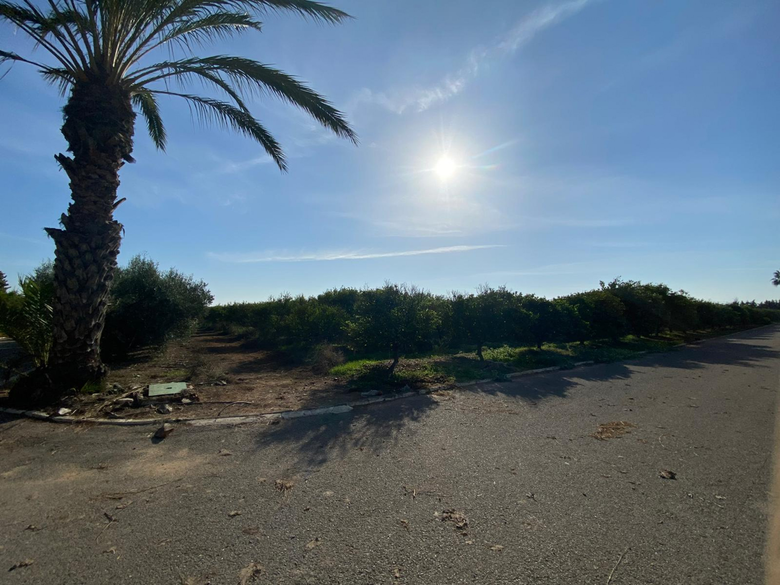 Large Finca In Torre Pacheco