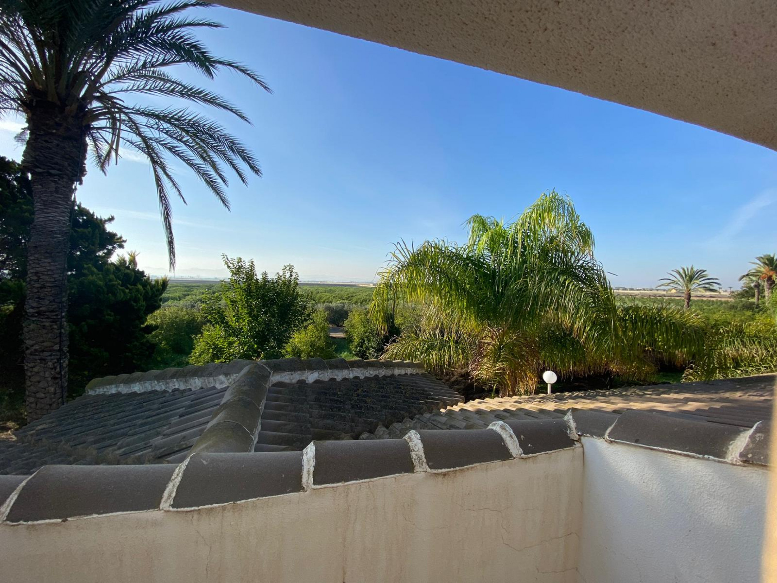 Large Finca In Torre Pacheco