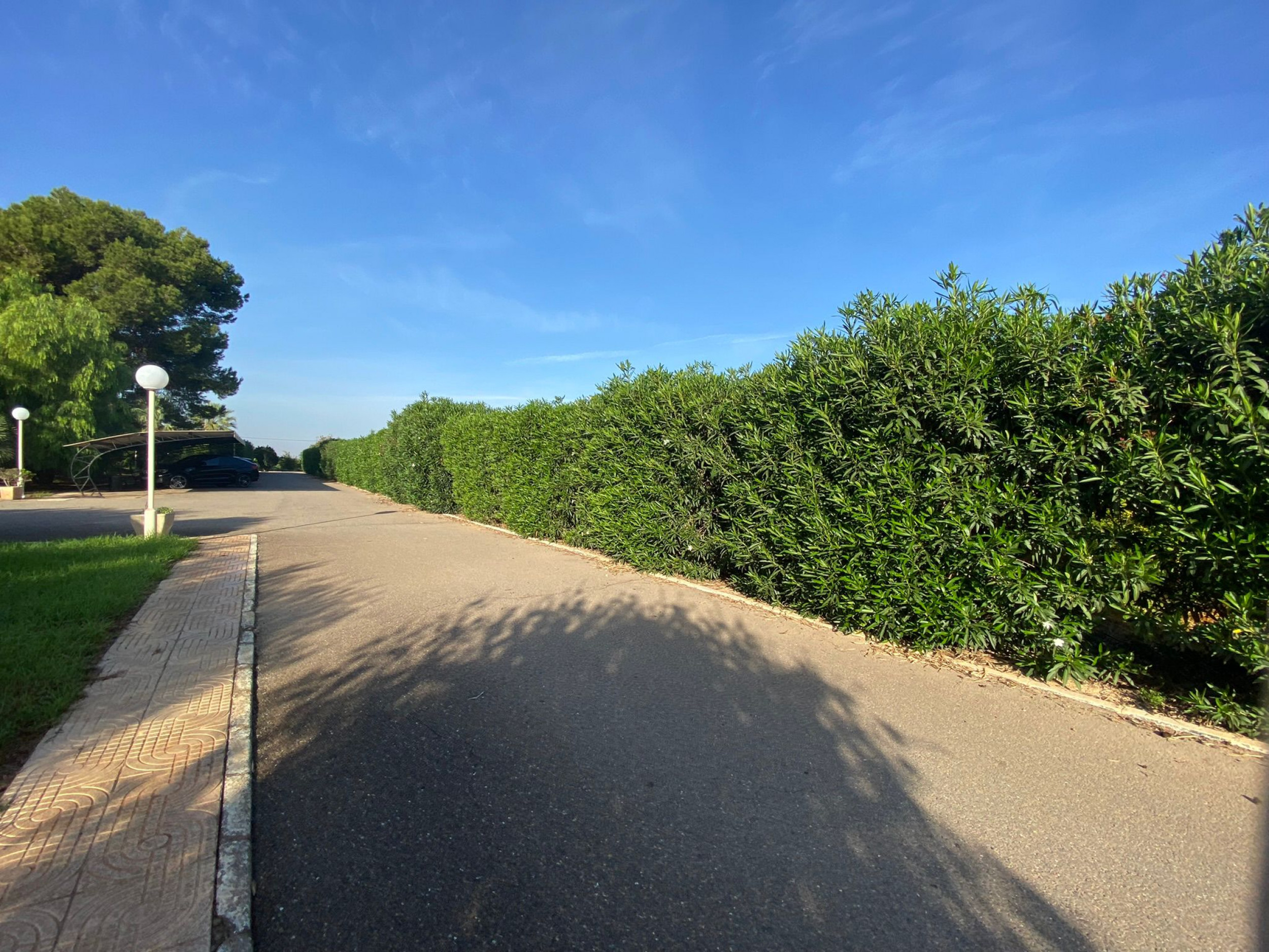 Large Finca In Torre Pacheco