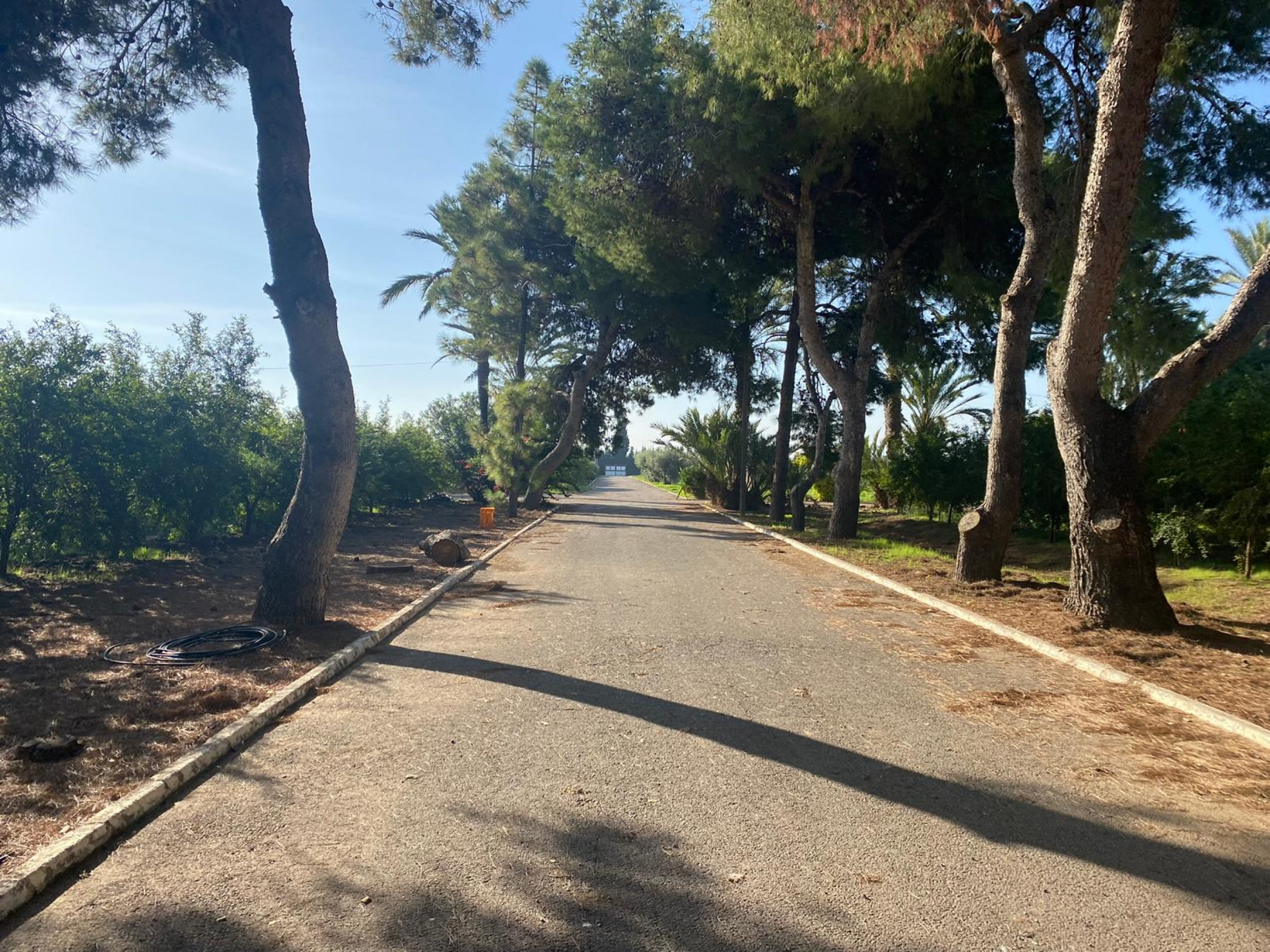 Large Finca In Torre Pacheco