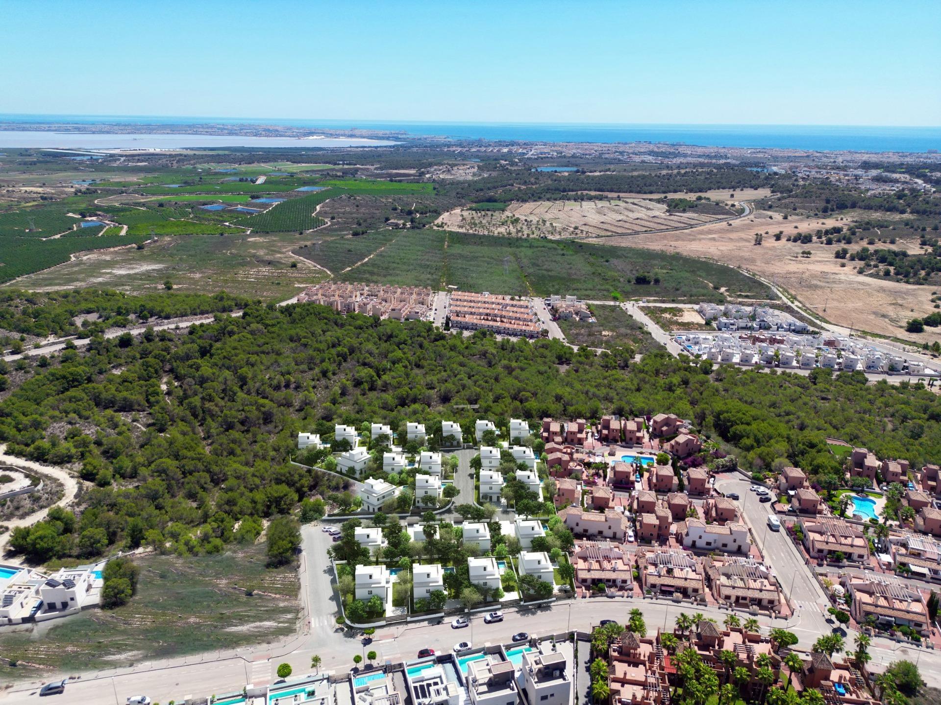 New build villas in san miguel de salinas