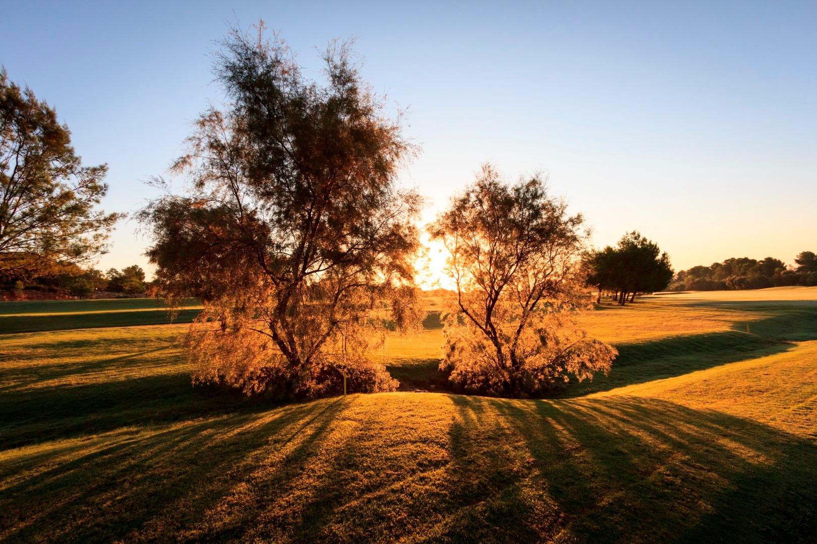 New construction villas on the frontline of lo romero golf