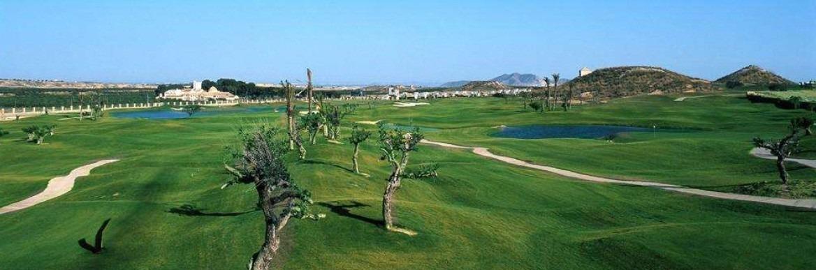 Elegant detached villas with private pool at peraleja golf resort - costa cálida