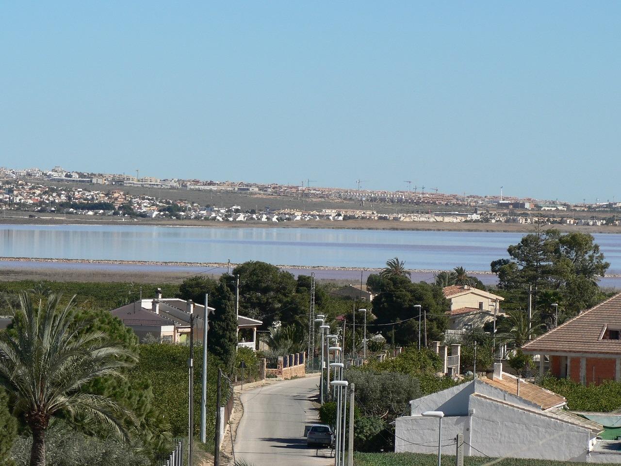 New build villas in los montesinos
