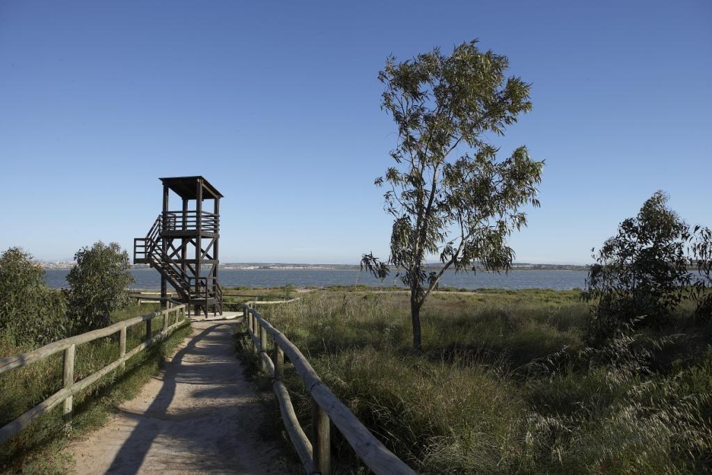 New residential development in san miguel de salinas