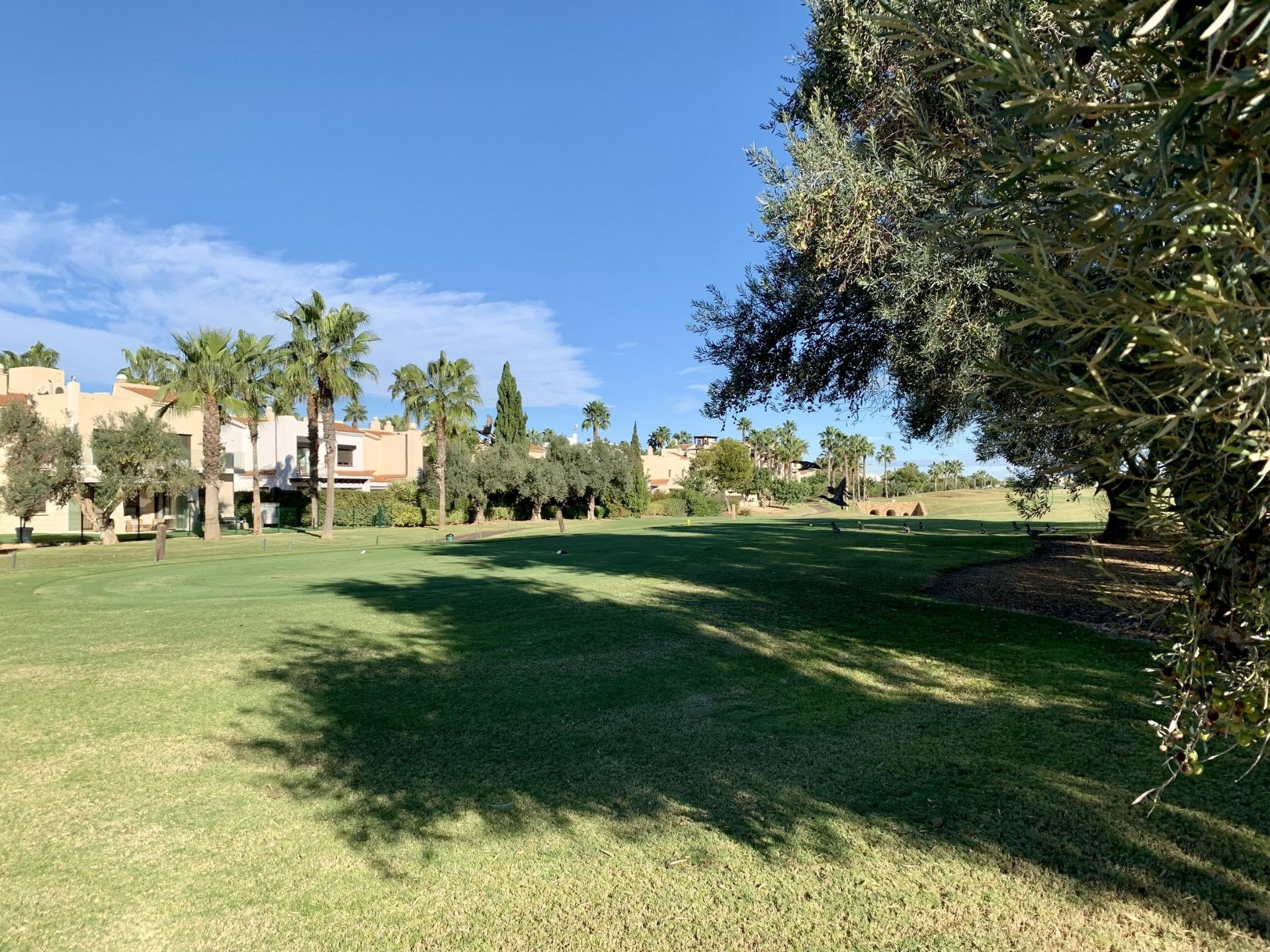 New build bungalows in roda golf