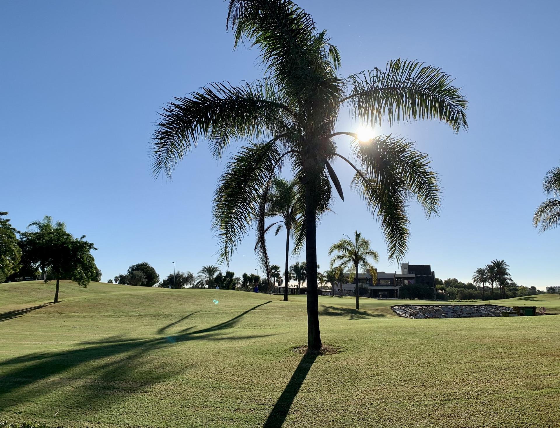 New build bungalows in roda golf