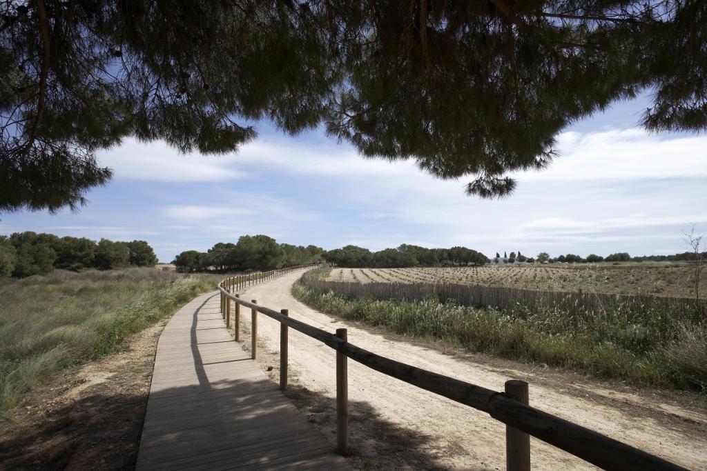 New villas for sale in torrevieja – 2 km from the sea