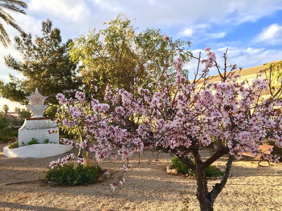 New build villas in los urrutias, murcia