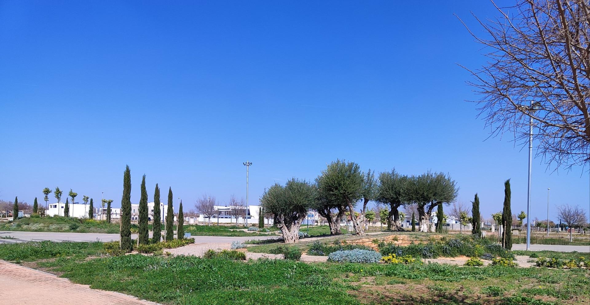 New build penthouses in torre-pacheco