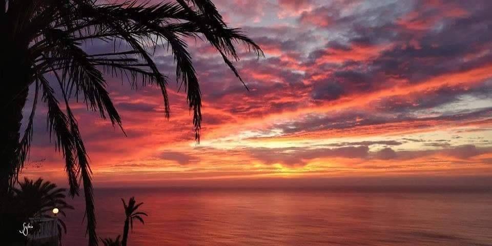 New residential development in torrevieja, just 1 km from the sea