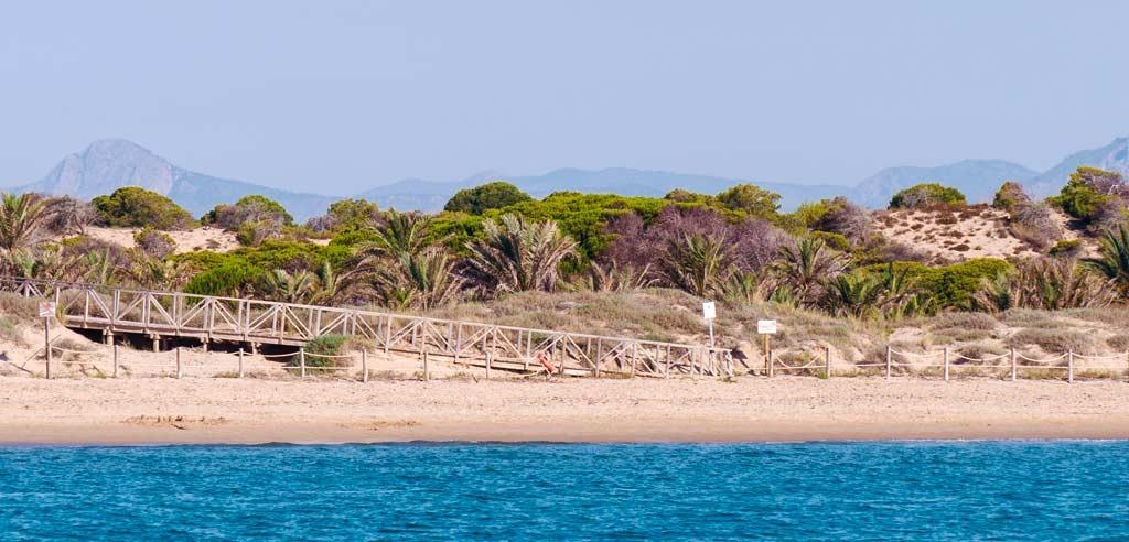 New development apartments in central guardamar del segura, costa blanca