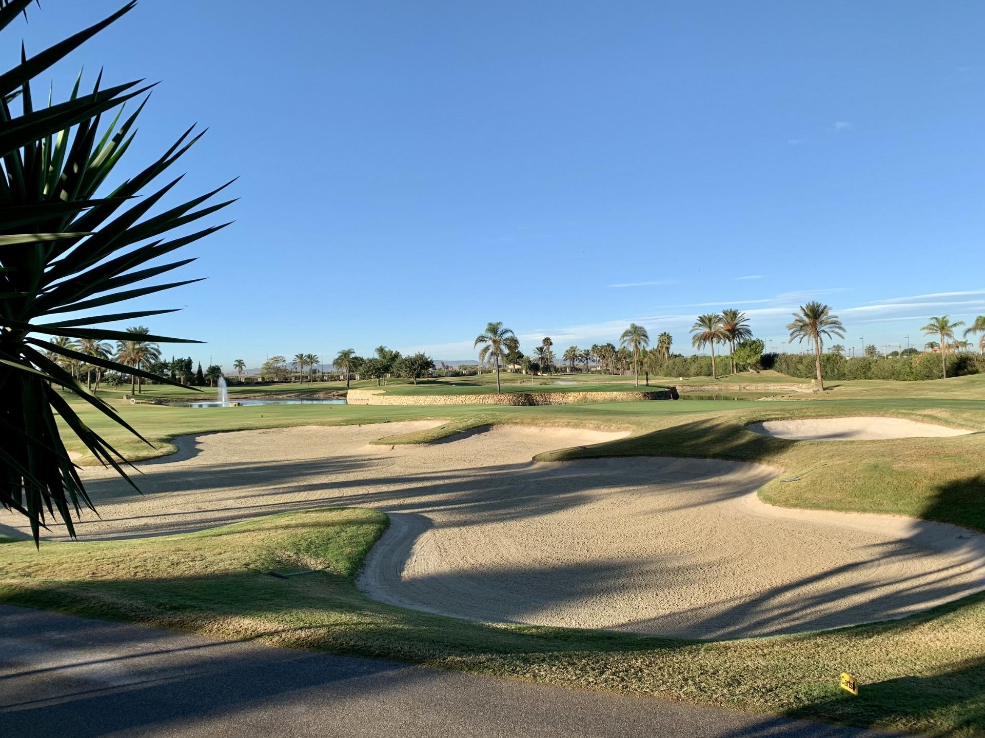 New build bungalows in roda golf