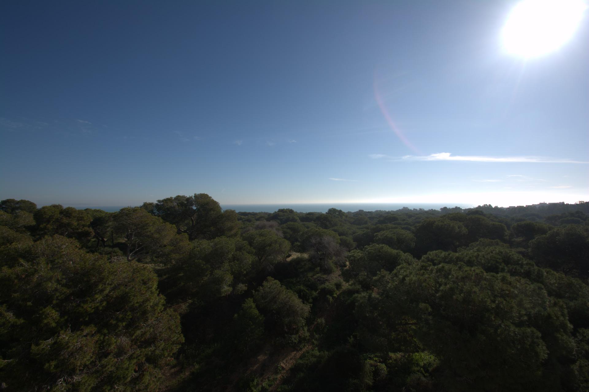 New build apartments in the centre of guardamar del segura near the beach