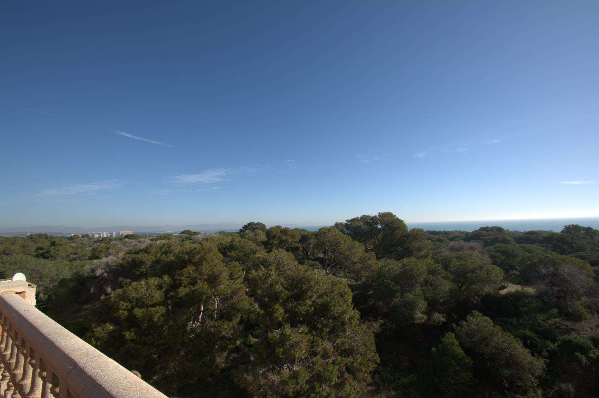 New build apartments in the centre of guardamar del segura near the beach