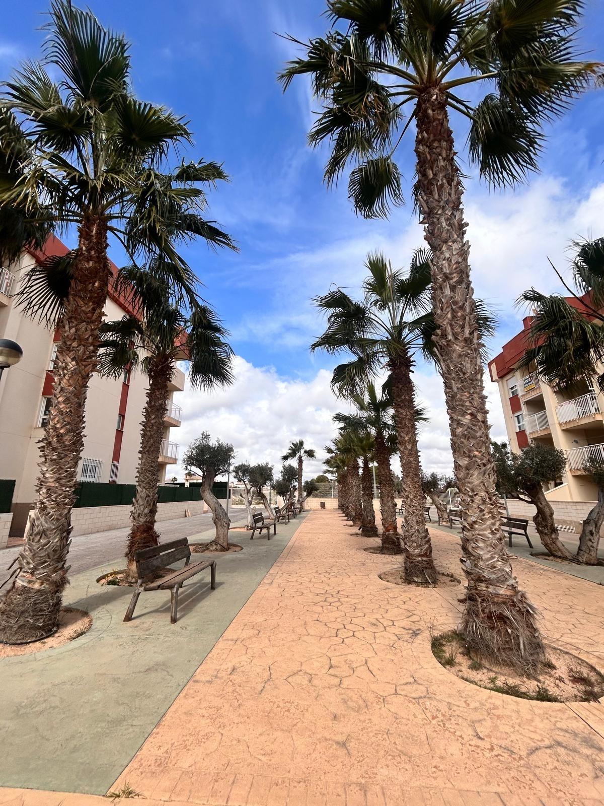 Regenerated residential complex in lomas de cabo roig – renovated apartments