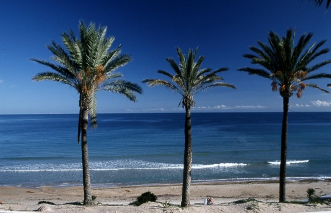 Exclusive new build bungalows in pilar de la horadada - unique style and privileged location
