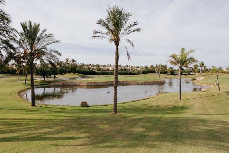 Modern semi-detached villas with private pool near the sea in santiago de la ribera