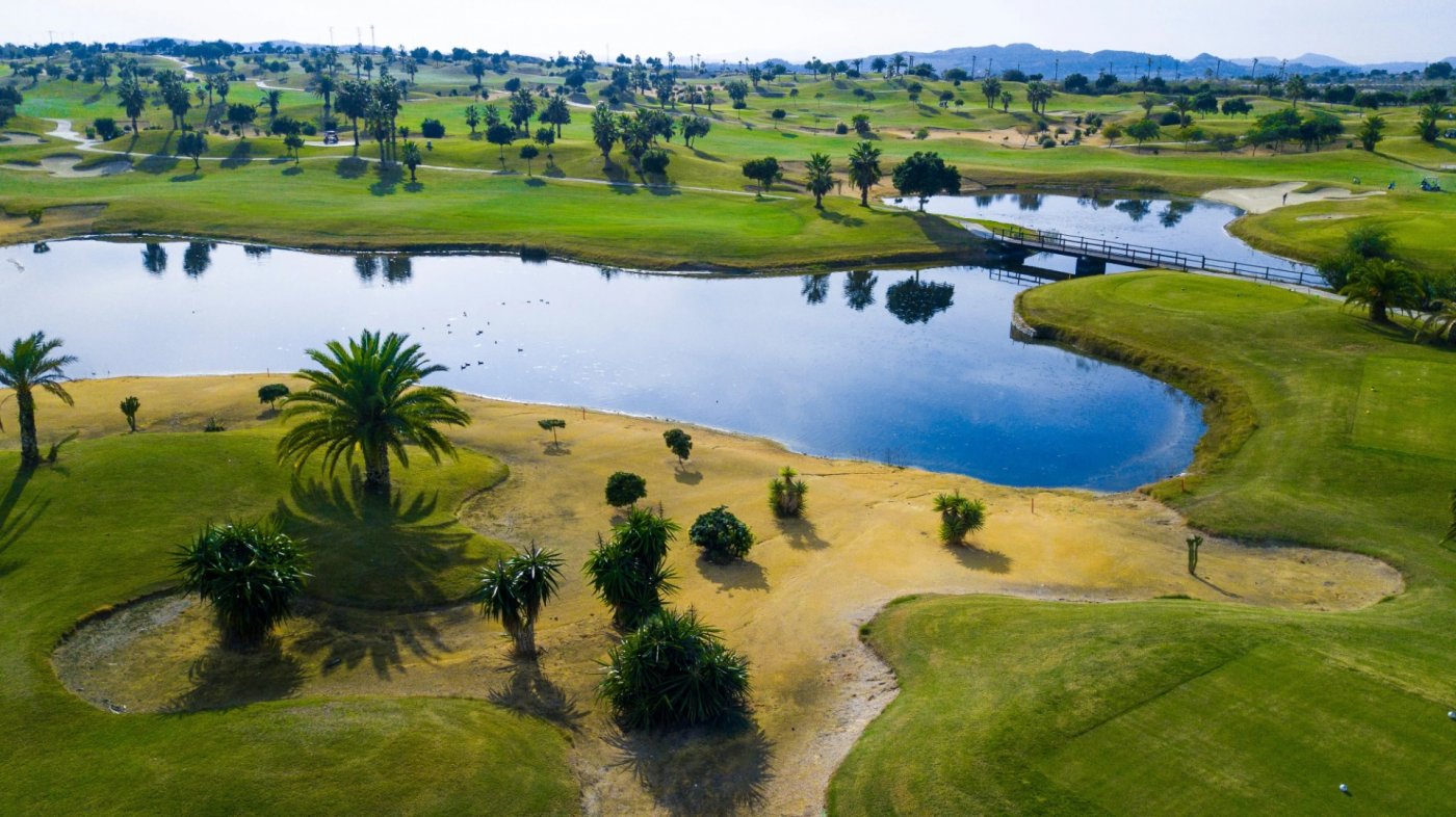 New build villas in vistabella golf resort